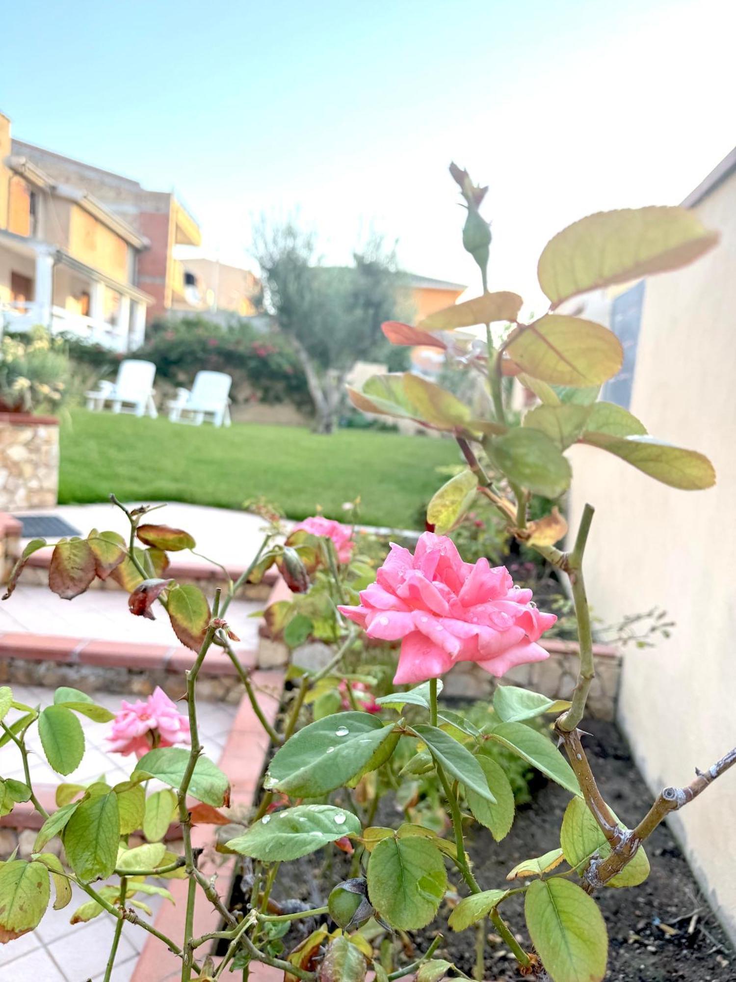 Rosa'S House - Zona Ospedaliera Apartment Cagliari Ngoại thất bức ảnh